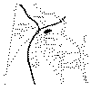 topomort.gif (16066 octets)